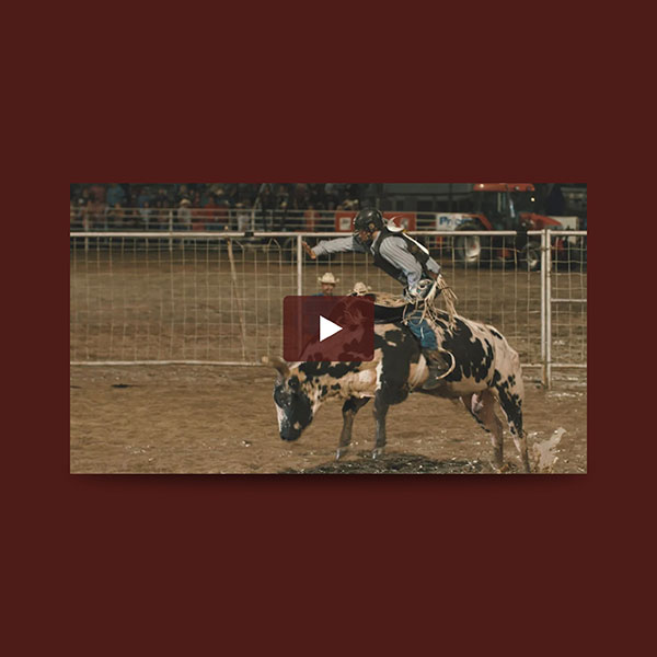 Big Rodeo video link